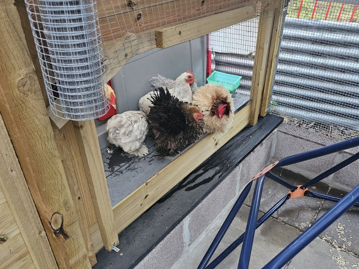 Hen guests at Ruffles Hen Hotels