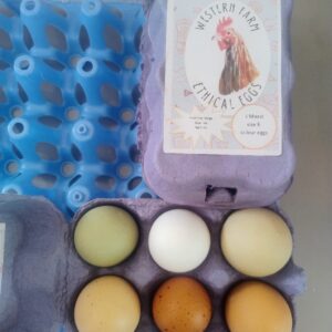 6 Ethical Eggs