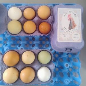 1 Dozen Ethical Soya-free eggs